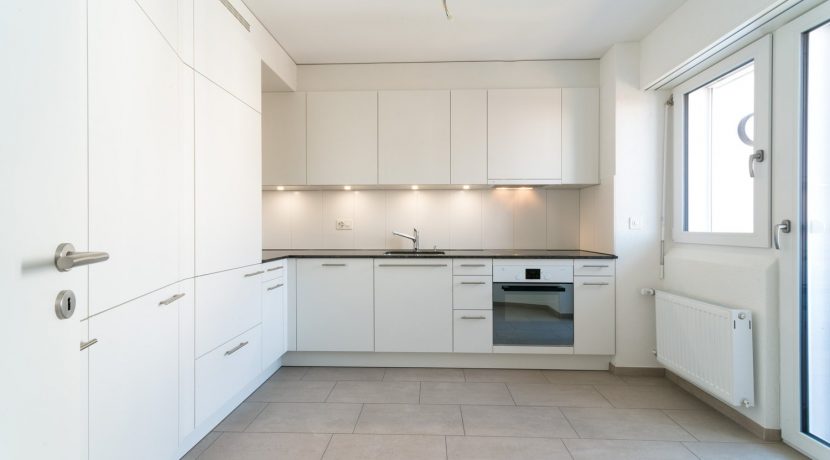 16731d35cc236955e7ea07c649df194a