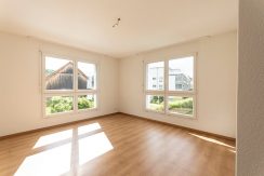 1ae56a8ca5cb08178cc342a9cd8e8ef1