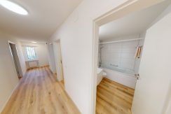 3d70e09fc1dc7a6c76b326aaf7c286d9