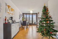 8oeJKrvwq1NnfUDusCCDhZRa-6