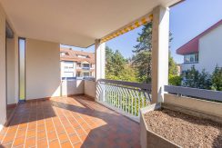 osBsDWwGHEJD7aWzwEZZgxgt-im_chruzacher_12_8306_14