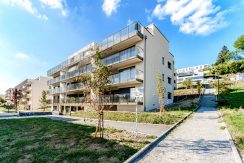 1bb9cb0a4b25b337c40f583ec9bdfb71