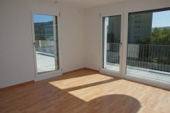 5337154c8179a87966a03be81a3ac56d