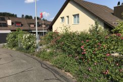 dvEud9XzooC4qKxJCzsUAia6-023_gartenzaun_05_06_2023