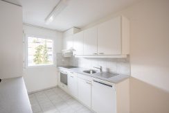 264c369162ff0f52899781dcc47a675a