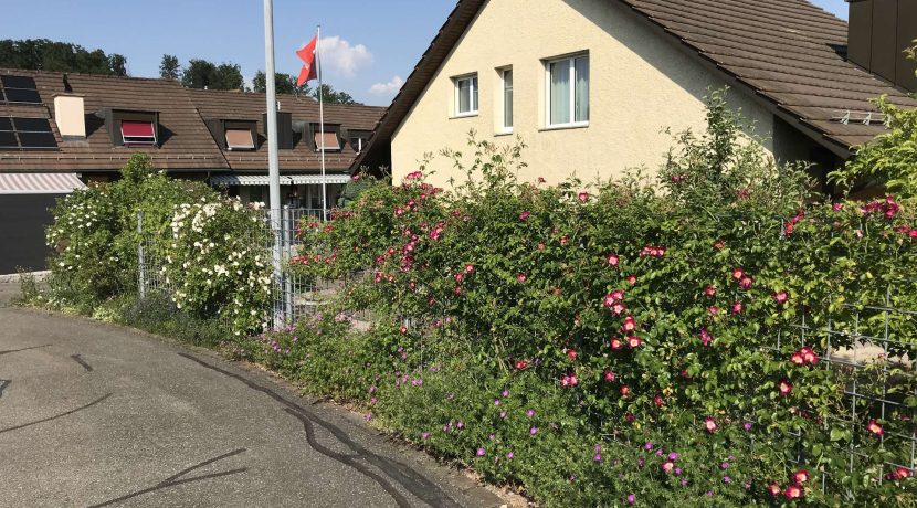 dvEud9XzooC4qKxJCzsUAia6-023_gartenzaun_05_06_2023