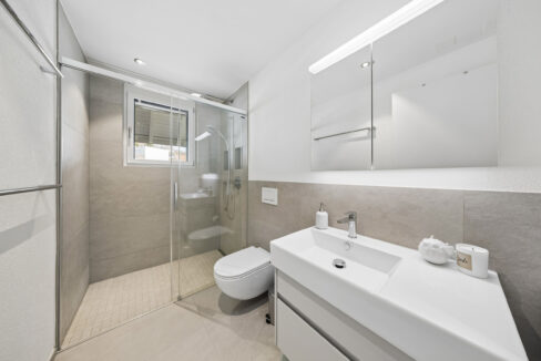 Modernes Badezimmer mit Walk-in-Dusche und klaren Linien