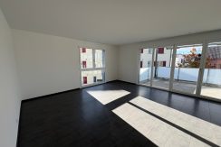 23d307393bbe492da07224f42fa258d6