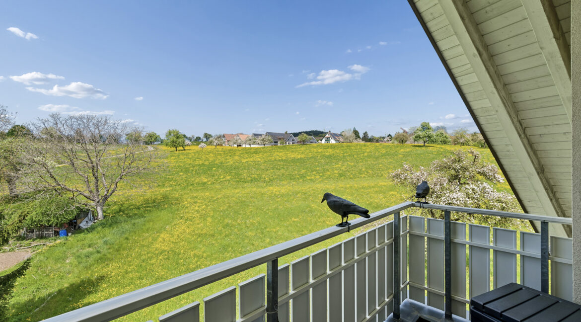 Naturpanorama zum Abschalten