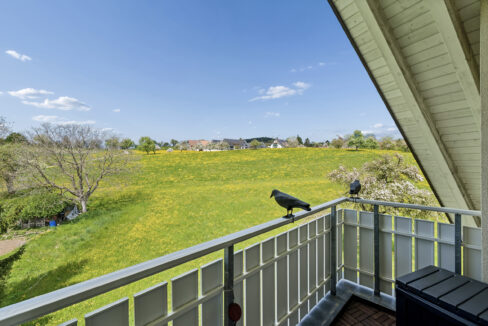 Naturpanorama zum Abschalten