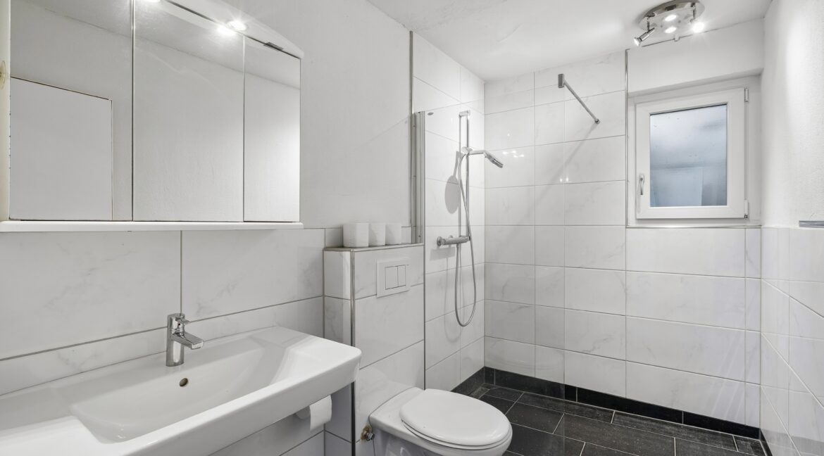 5.5 Zimmer Gartenwohnung - Nasszelle mit Dusche